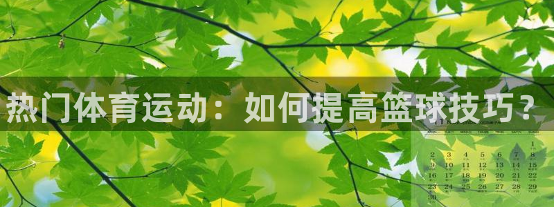 oety欧亿体育官网下载平台注册流程图：热门体育运动