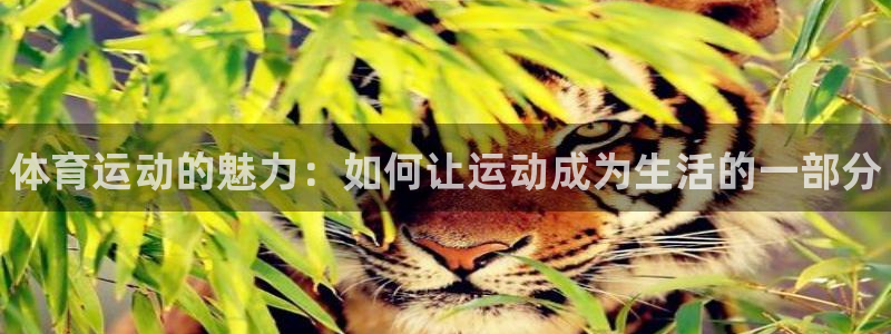 欧亿体育官方正版app集团E.ON：体育运动的魅力：