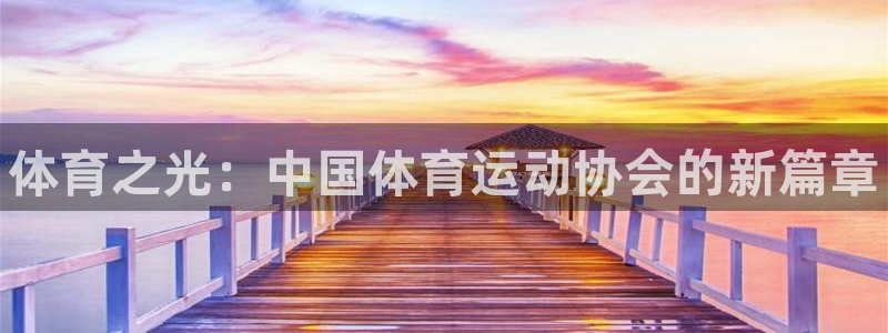 欧亿体育官方正版app神州：体育之光：中国体育运动协