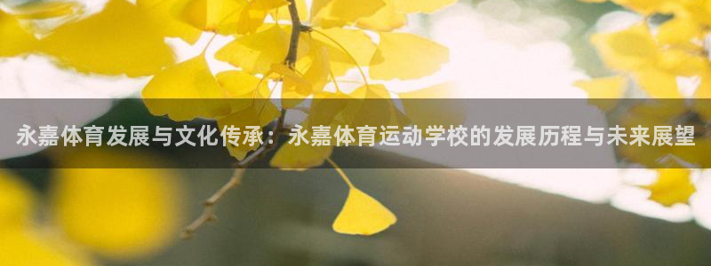 oety欧亿体育官网下载招商电话号码：永嘉体育发展与