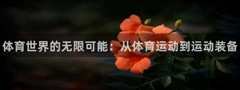 oety欧亿体育官网下载平台是正规平台吗安全吗：体育世界的无