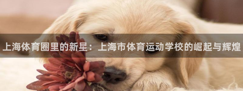 欧亿体育官方正版app官方：上海体育圈里的新星：上海市体育运