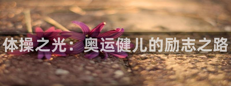 欧亿体育官方正版app集团logo：体操之光：奥运健