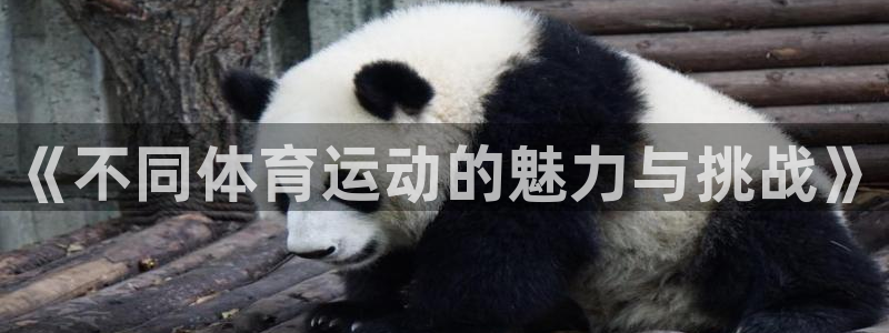 欧亿体育官方正版app集团E.ON：《不同体育运动的