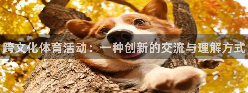 欧亿体育官方正版app新能源：跨文化体育活动：一种创新的交流