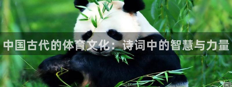 oety欧亿体育官网下载平台注册要钱吗：中国古代的体育文化：