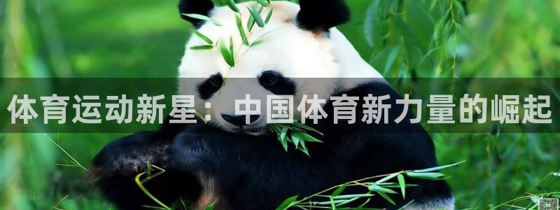 欧亿体育官方正版app集团logo：体育运动新星：中国体育新
