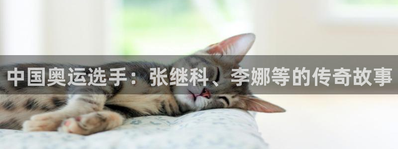 oety欧亿体育官网下载招商电话：中国奥运选手：张继科、李娜