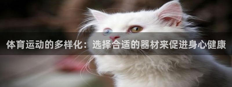 欧亿体育官方正版app娱乐代理怎么样