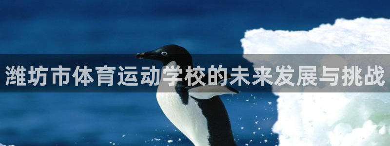 欧亿体育官方正版app集团官网首页：潍坊市体育运动学校的未来