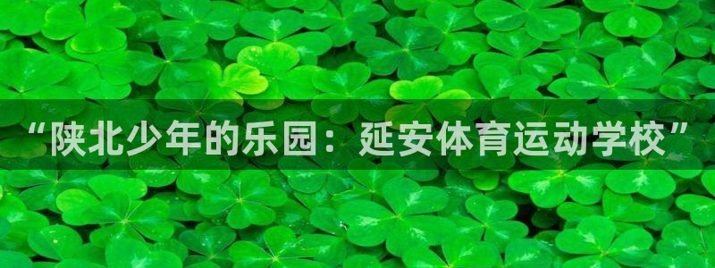 oety欧亿体育官网下载招商电话地址查询